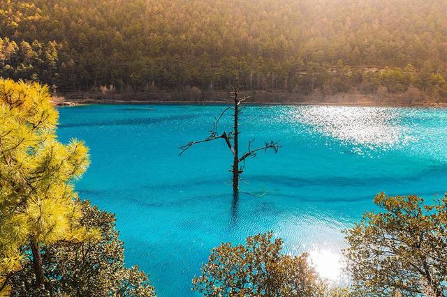 心颜直播,探索自然美景的旅行,寻找内心的平和与宁静