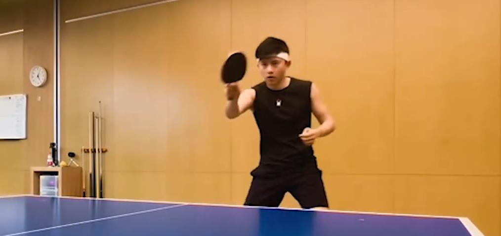 张杰谢娜最新动态揭秘,小巷特色小店奇遇与隐藏宝藏探索