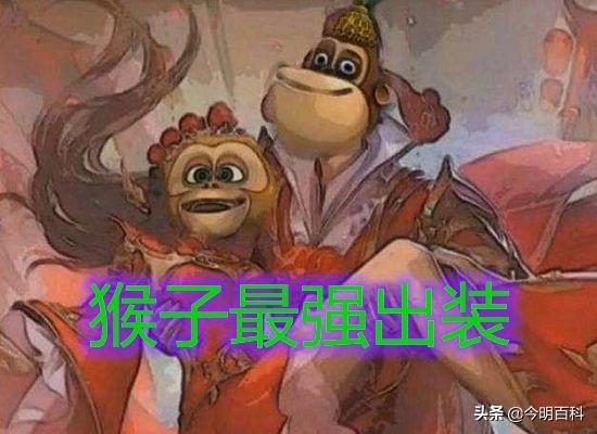 科技与策略融合,王者荣耀猴子最新出装指南,体验荣耀巅峰的快感