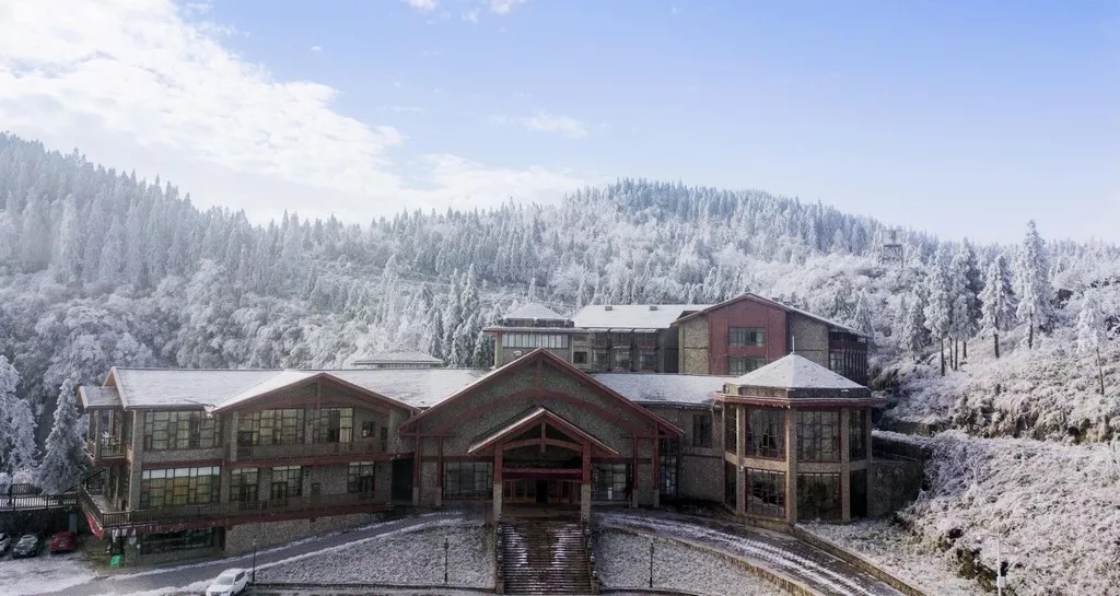 米兰苗直播,一场探索自然美景的治愈之旅