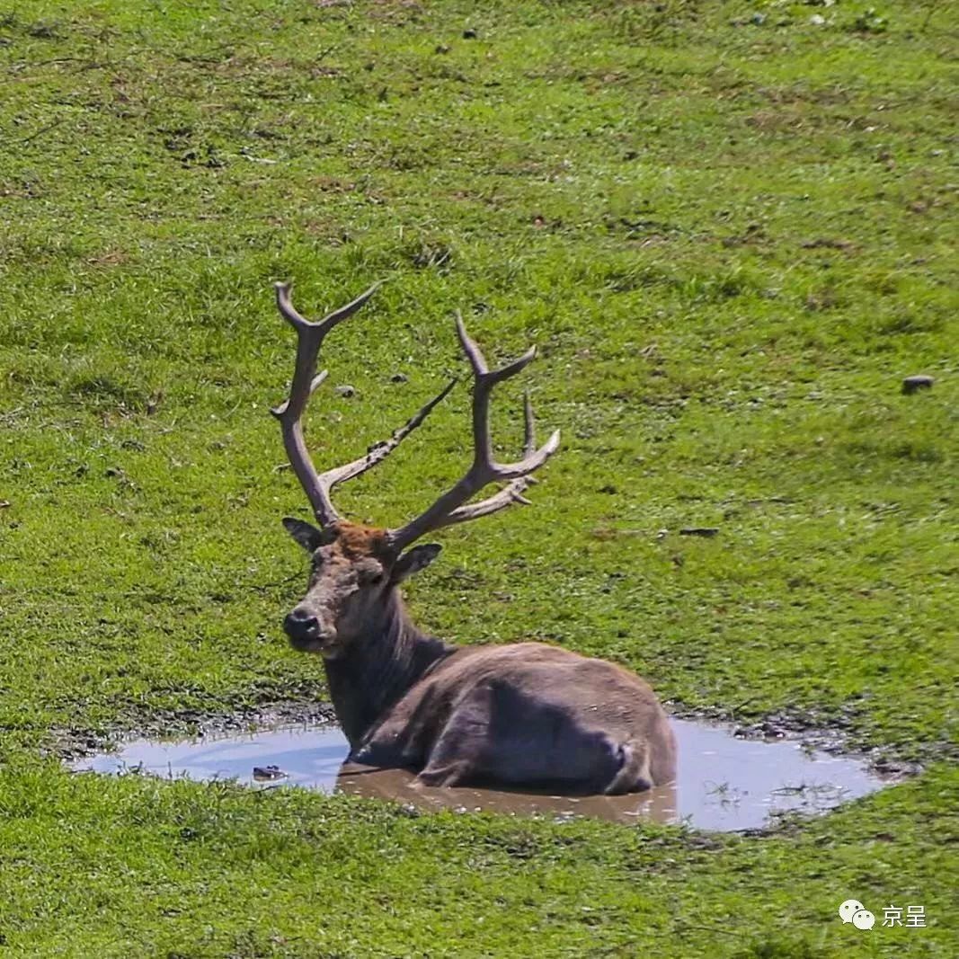 “今晚四不像生肖图预测:必中解析_FAY68.969互联版”