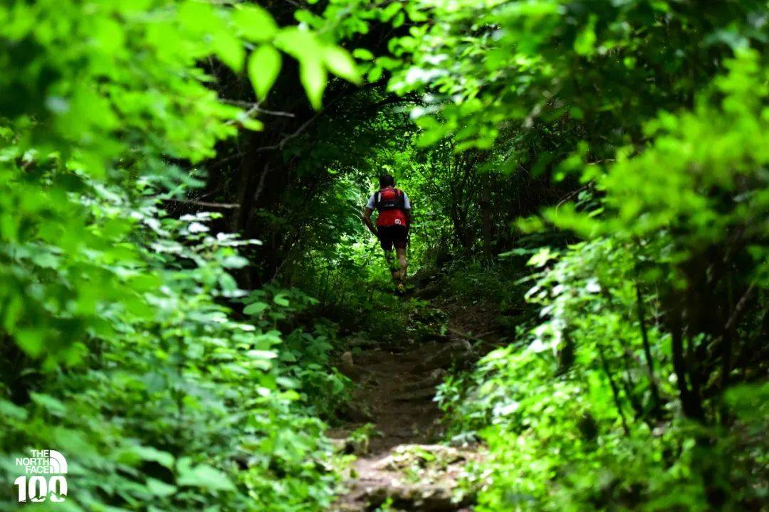 直播外服卡,解析与应用指南