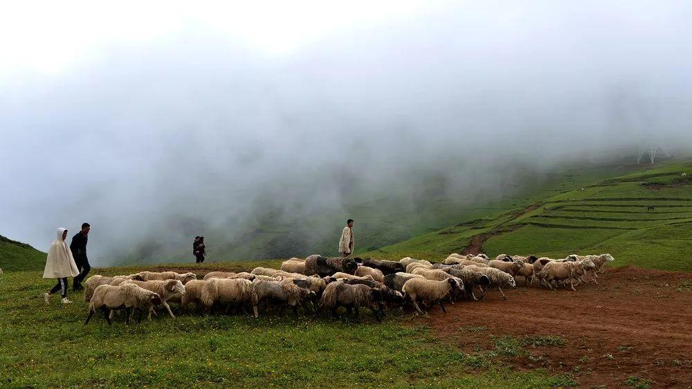 凉山干部任前公示最新,自然美景背后的探索之旅