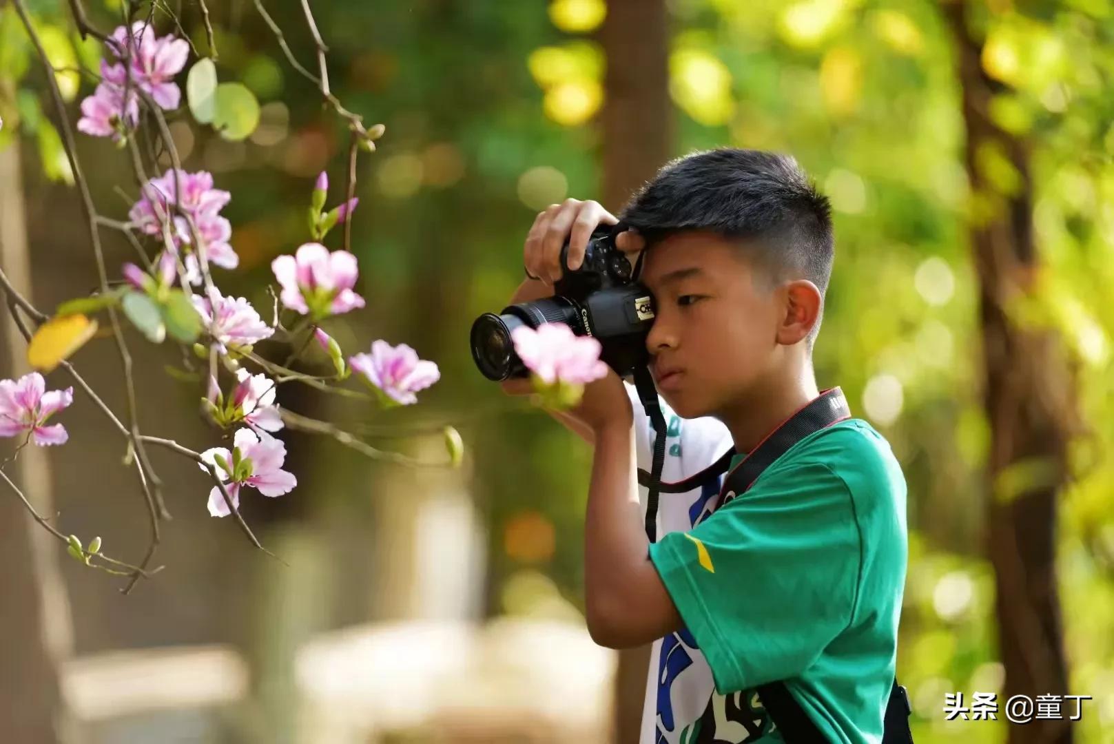凉山干部任前公示最新,自然美景背后的探索之旅