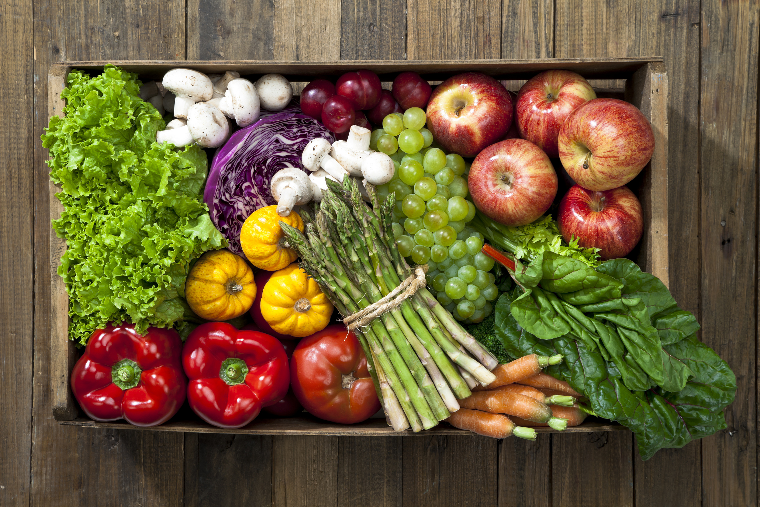 蔬菜门直播,小巷中的绿色宝藏,一场味蕾与视觉的双重盛宴