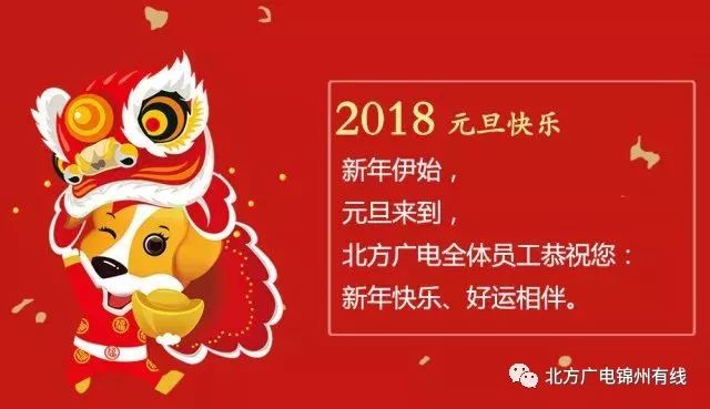 丁桂儿脐贴最新广告,贴心呵护,温暖相伴之旅