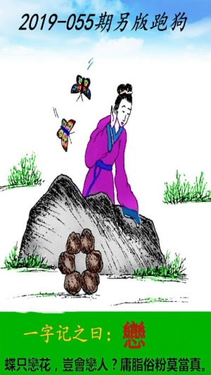 2024澳门跑狗图夜析,HIL68.977精选解析