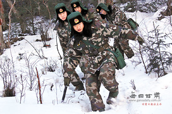 森林武警改革最新动态,科技重塑生态守护,智能升级引领未来发展