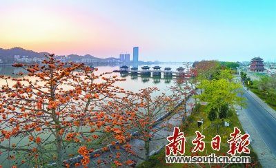 盲人摸象 第6页