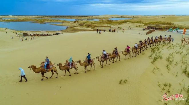 焦作蒙牛最新招聘启事,一起踏上探索自然美景的旅行之旅