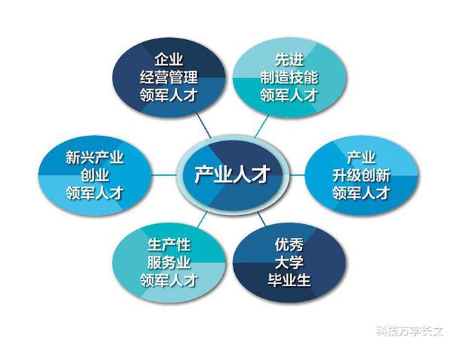 新澳正精准龙门客栈现代方案执行解析_TFR8.52.79互联版