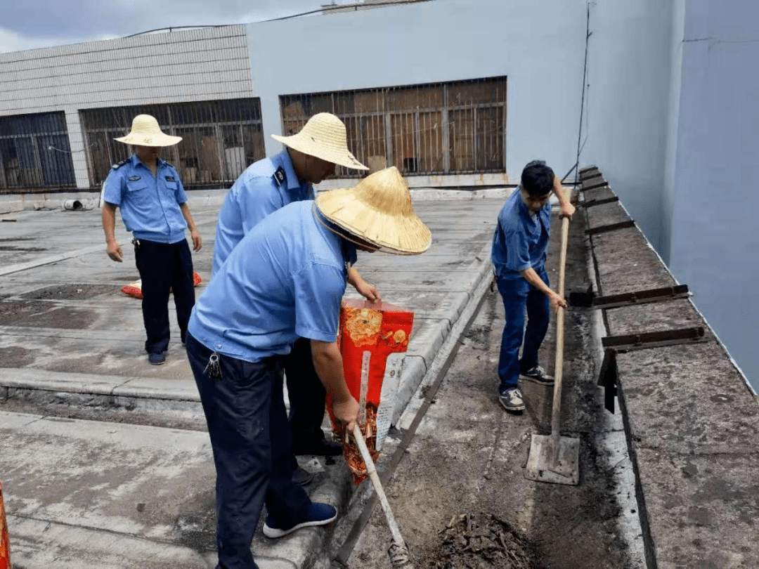 五脏六腑 第5页