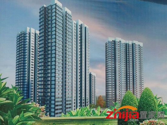 站南旺角最新动态,自然美景探索之旅开启