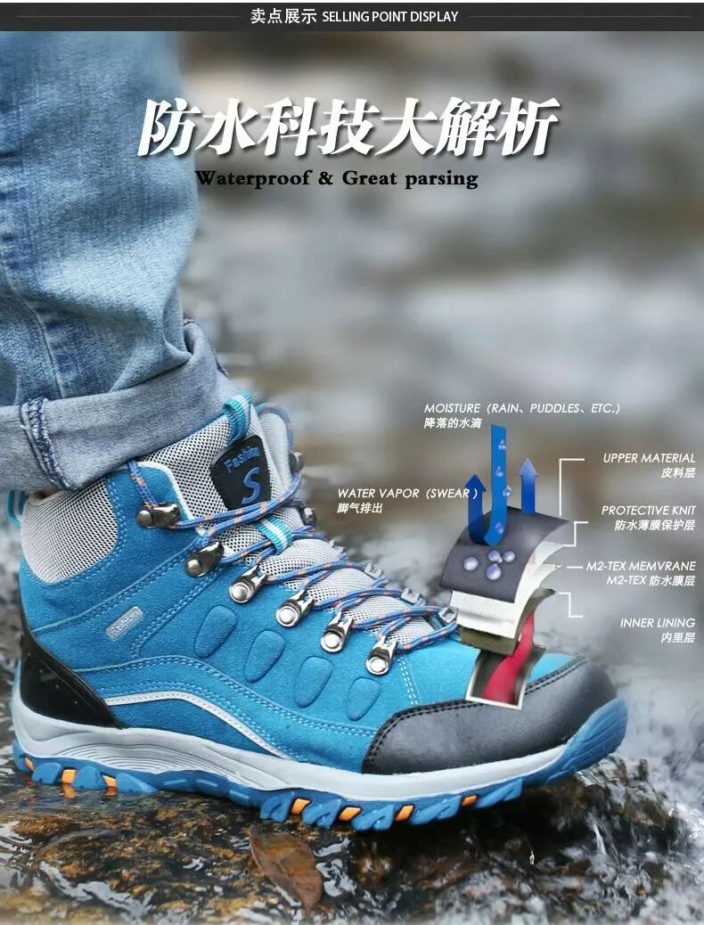 新百伦最新款2016,鞋子的奇妙旅程与深厚友情的见证