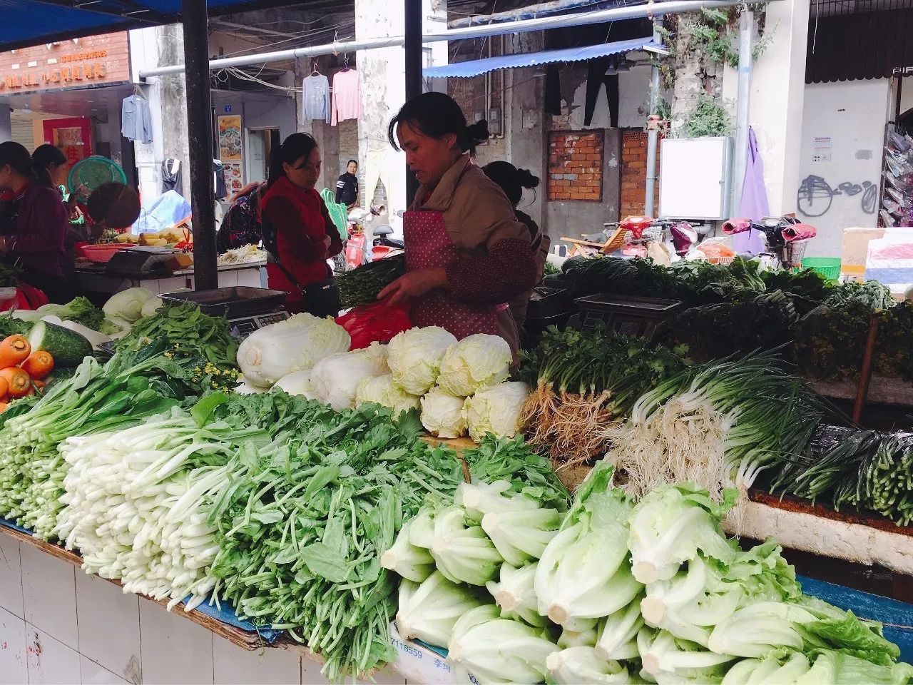 温州菜场出租最新信息背后的温馨故事