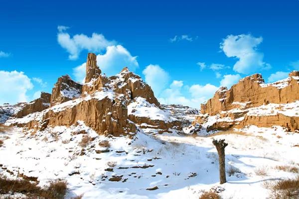 焦炭现货价格最新报价,与自然美景的邂逅与寻找内心宁静之旅