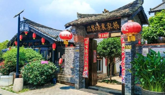 武汉金口最新新闻,拥抱自然,重拾内心的宁静之旅