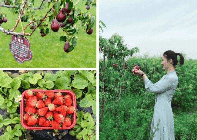 狐假虎威 第5页