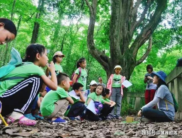 手传手最新一期,探索自然美景之旅,寻觅内心平和的乐园