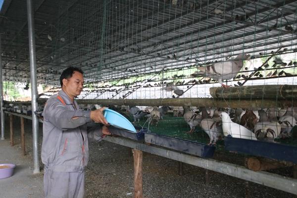 2016养殖建设最新规定,开启你的养殖事业的新篇章,拥抱变化,自信闪耀