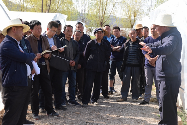 山西阳泉最新葬礼,一种文化变迁的探讨