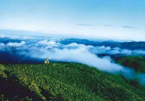 中山陈盛俊与自然美景的邂逅,内心平和之旅的最新消息