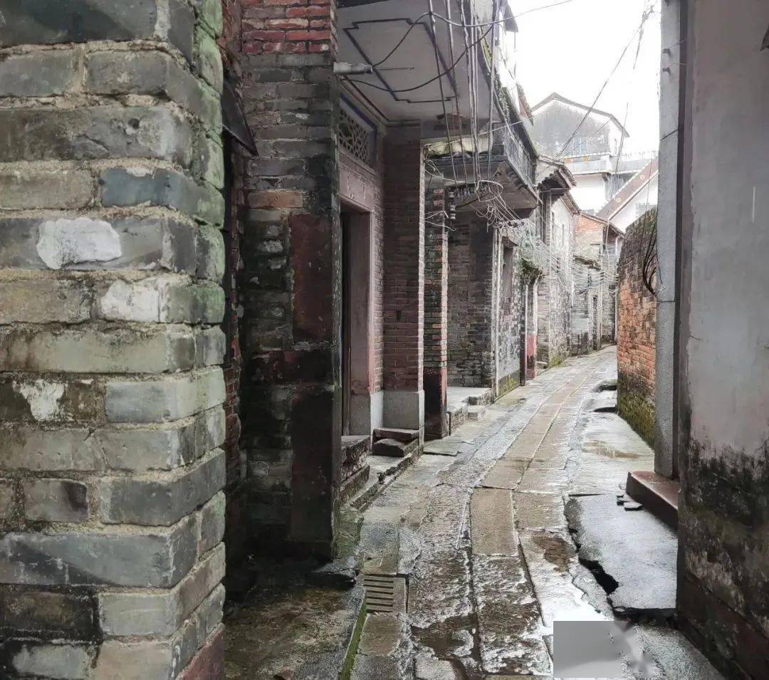 罗村最新楼盘探秘,小巷中的隐藏宝藏与独特环境