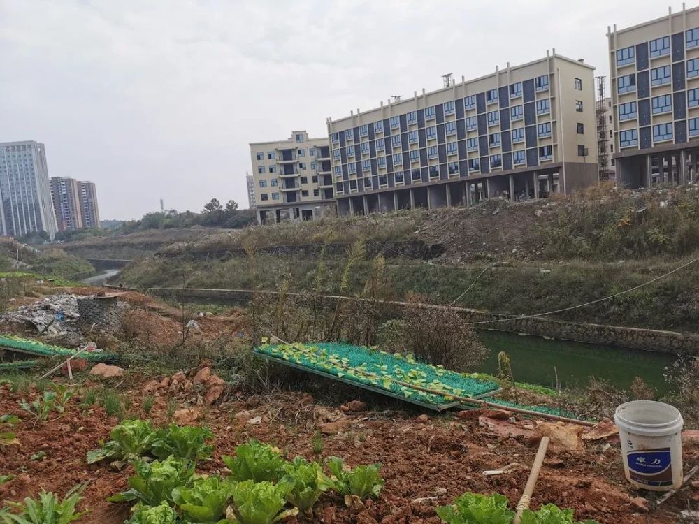 最新邵阳地皮出售,变化中的土地,变化中的你