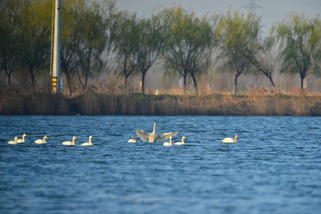 翻江倒海 第5页