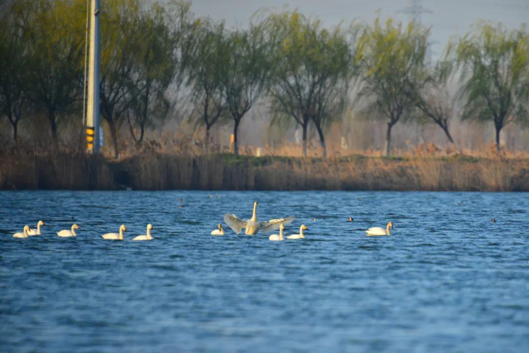 沛县最新门面出租转让,小巷里的惊喜宝藏等你来发掘!