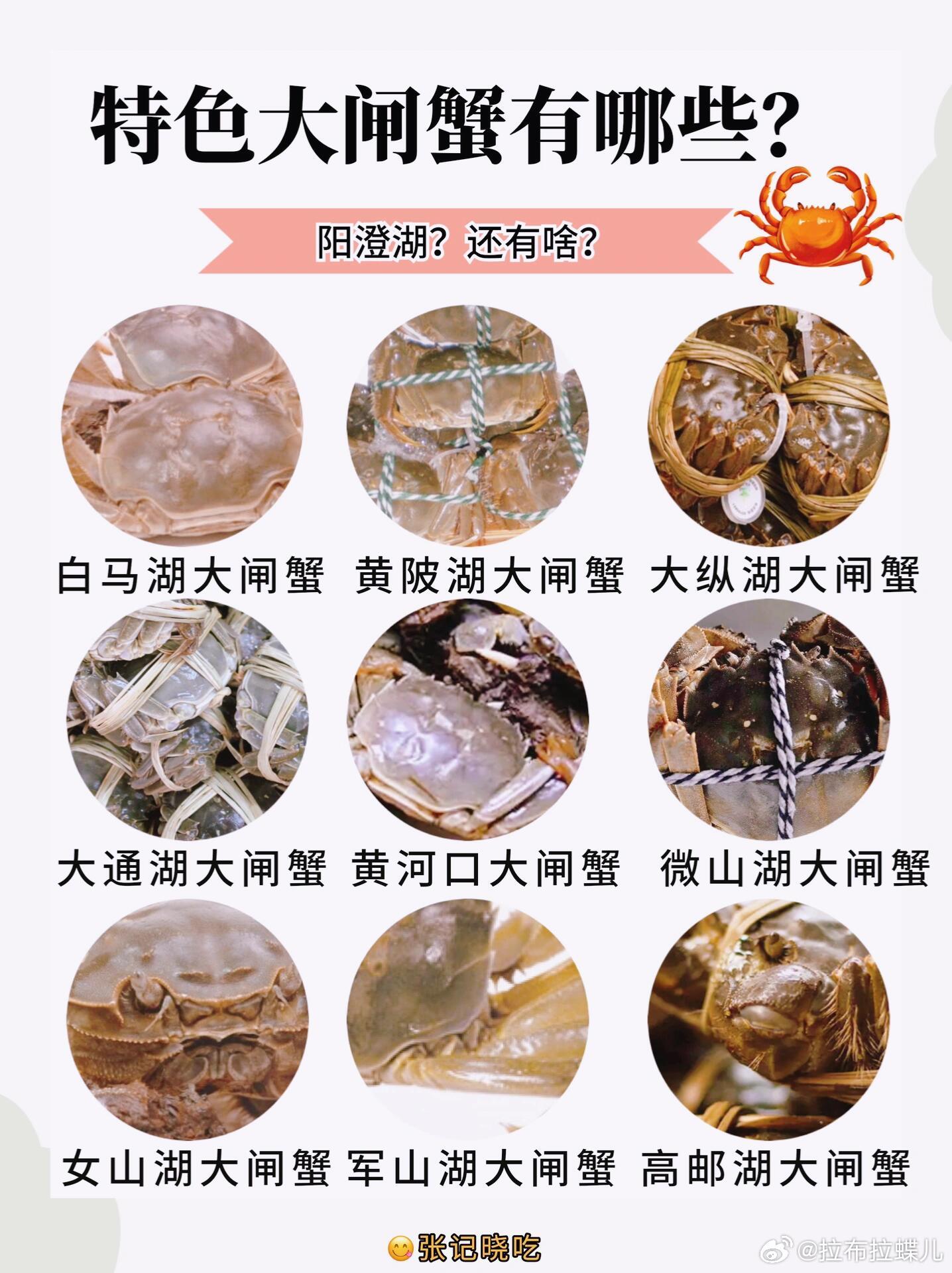 天津螃蟹价格最新行情🦀🔍全面解析!🎉