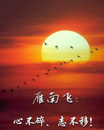 最新感悟人生的歌曲,变化中的学习之旅,自信与成就感的旋律