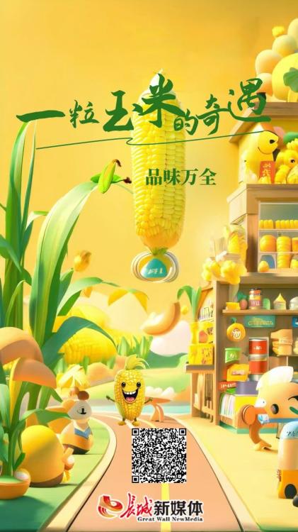 一粒种子的成长,玉米直播背后的励志之旅与万千机遇探索