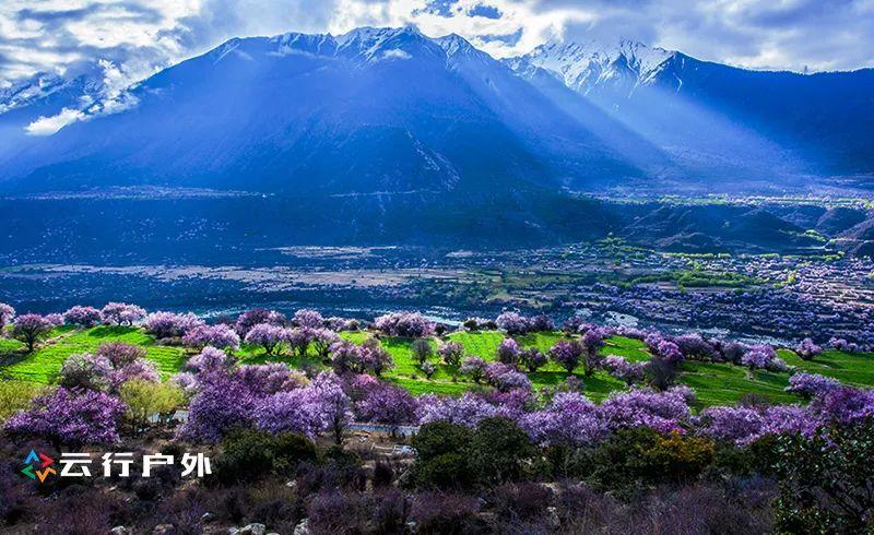 桃琪琪直播,自然美景之旅,探寻内心平和与宁静的旅程
