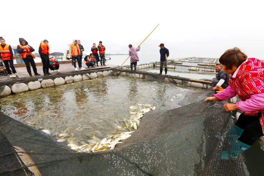 直播黄鱼干,科技与生活融合的高科技产品体验之旅