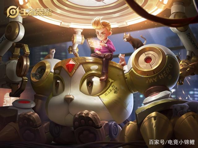 寒夜直播刘禅,心灵与自然的深夜对话之旅