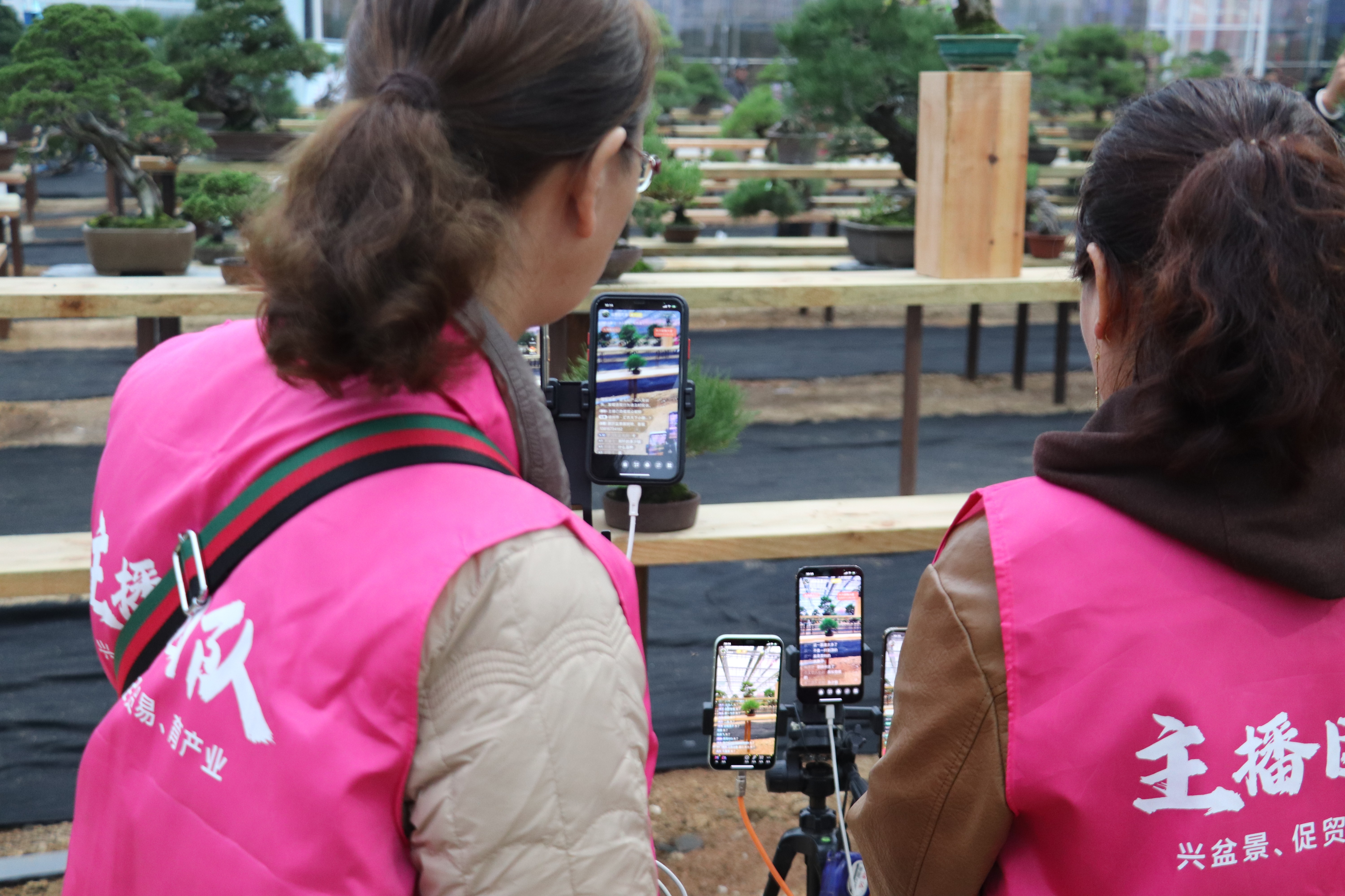 直播名优馆,自然美景的奇妙探索之旅