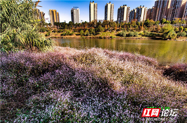 赣州最新楼盘2024,与自然美景的邂逅,寻找内心的平和之旅