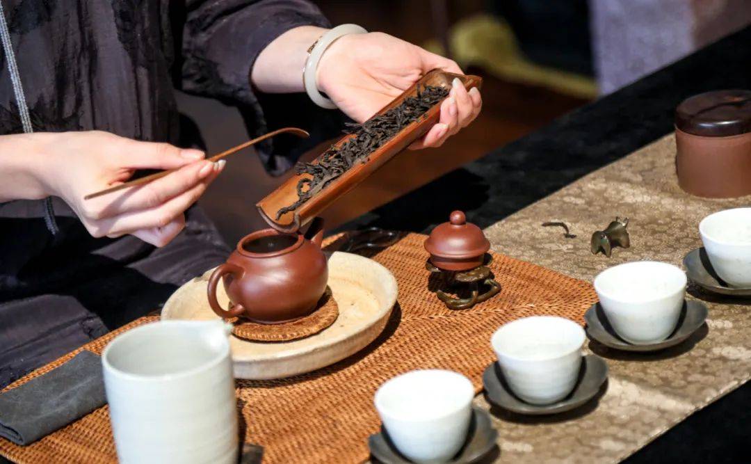 煮茶器直播,现代演绎的传统茶艺风采