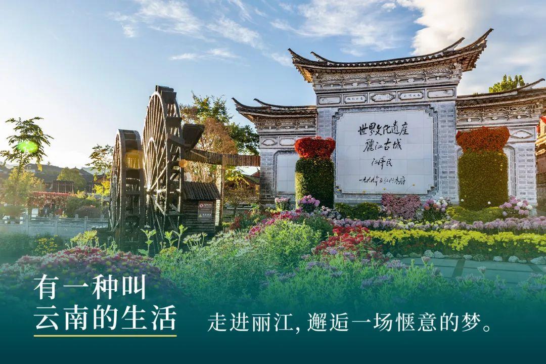 丽江足球最新新闻,科技引领足球新时代,体验前所未有的精彩