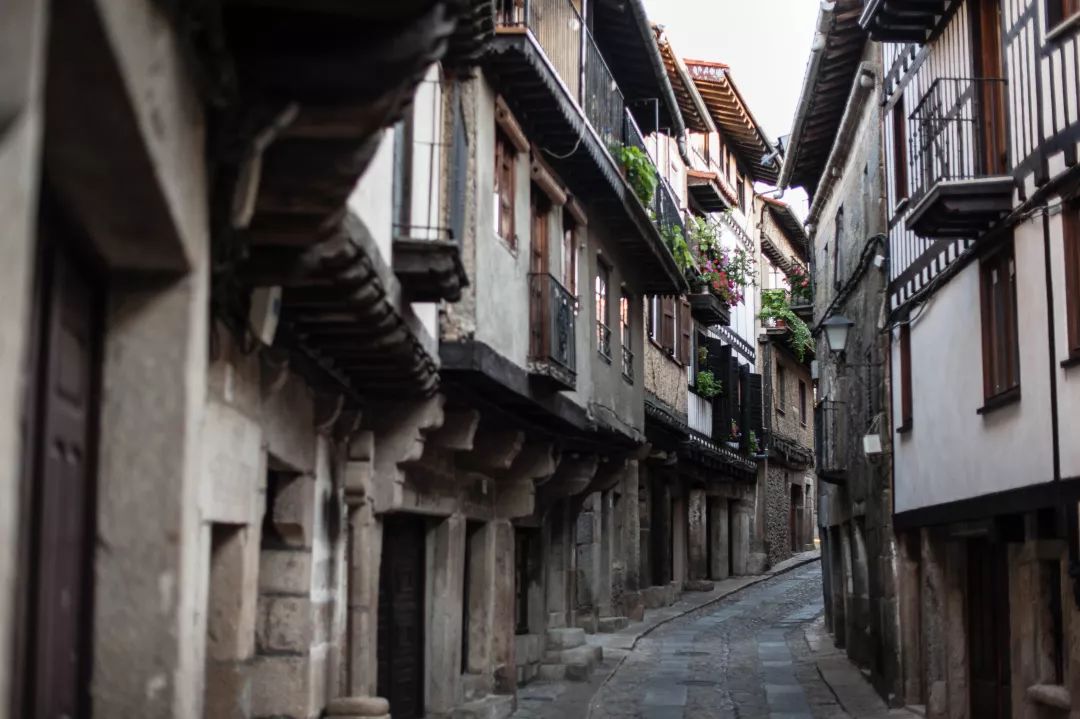 办公辣文合集最新,小巷中的独特风味探索