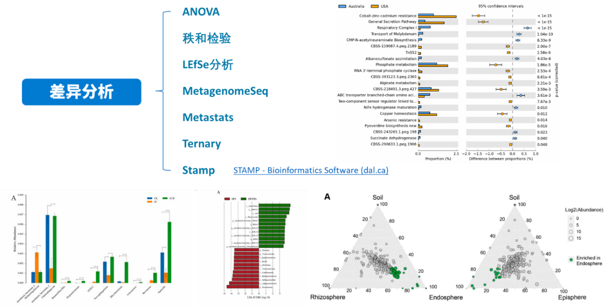 澳门九点资料,深究数据应用策略_FBQ51.499可靠版