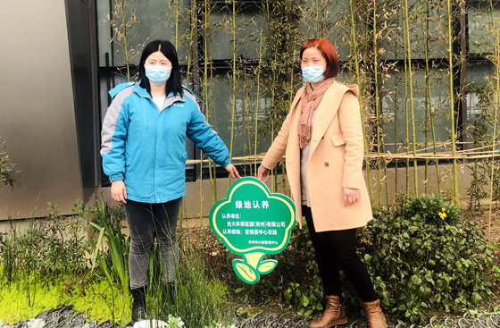 苏州光大环保最新动态,小巷里的绿色宝藏