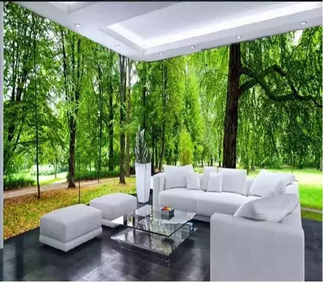 墙面直播装饰,墙面直播装饰,一场自然美景的心灵之旅