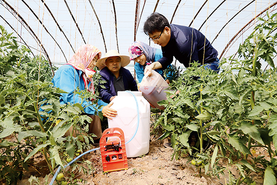 直播作物长势,直播作物长势,科技引领农业新时代