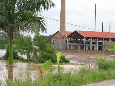 玉林红豆社区最新贴,时代背景下的社区发展与影响