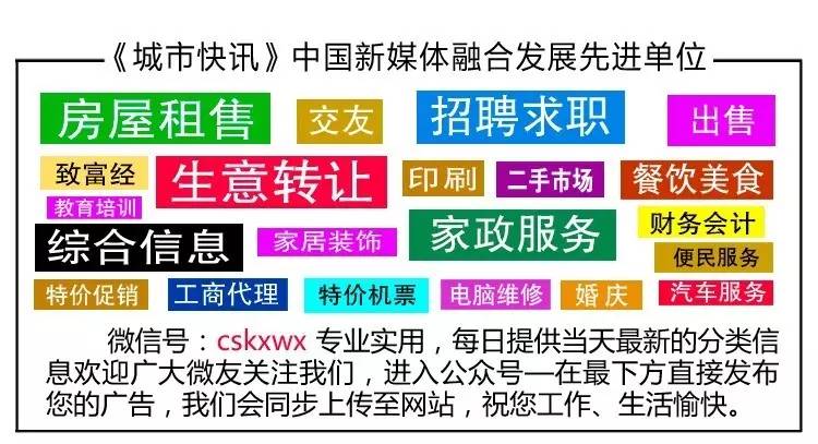 城市快讯最新招聘信息及小巷深处的独特小店揭秘!