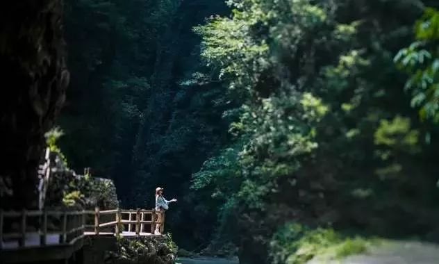 借阴寿,一场自然美景的旅行,寻找内心的宁静与平和