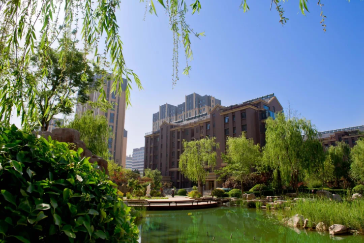 大朗最新楼盘,与自然美景的邂逅,寻找内心的平和之旅