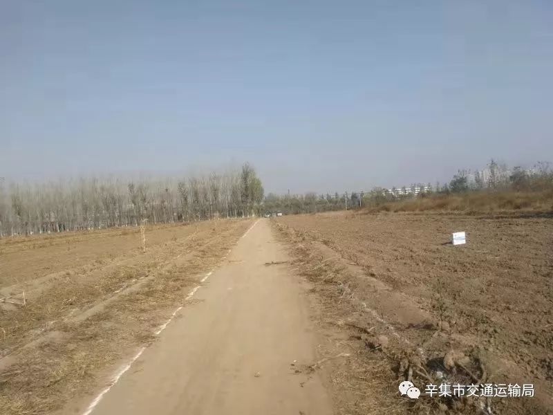 辛集南站最新动态更新